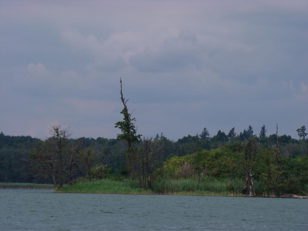 Mylin Villa Chrzypsko Wielkie Exteriör bild